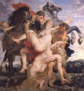 Peter Paul Rubens The Rape of the Daughters of Leucippus china oil painting artist